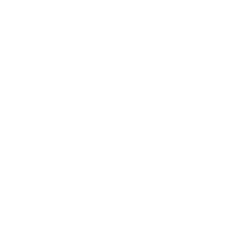 custom icon